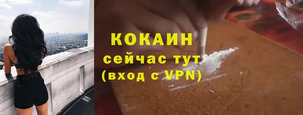 ешки Пересвет
