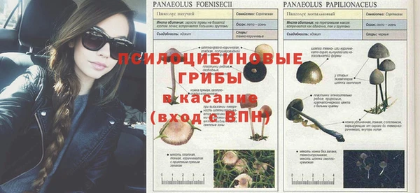 бутират Аркадак