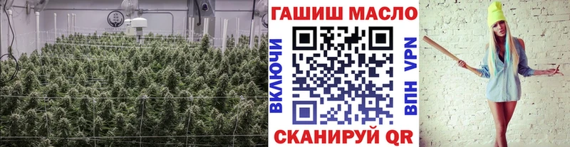 ТГК THC oil  Сланцы 