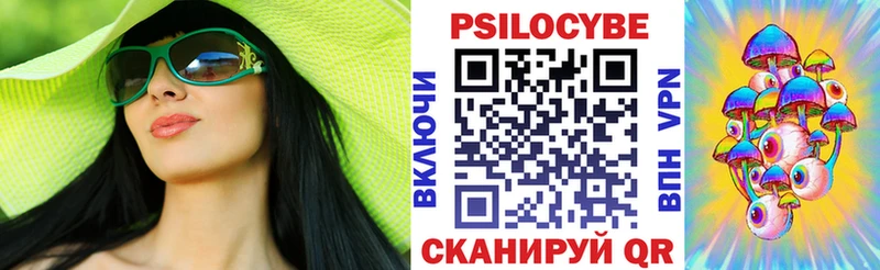Галлюциногенные грибы Psilocybe Сланцы